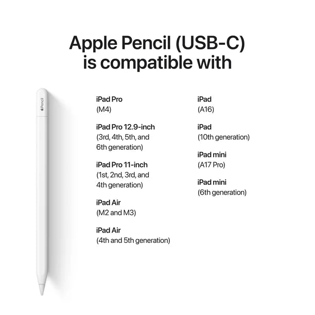 Apple Pencil USB-C Stylus for iPad | Kuwait