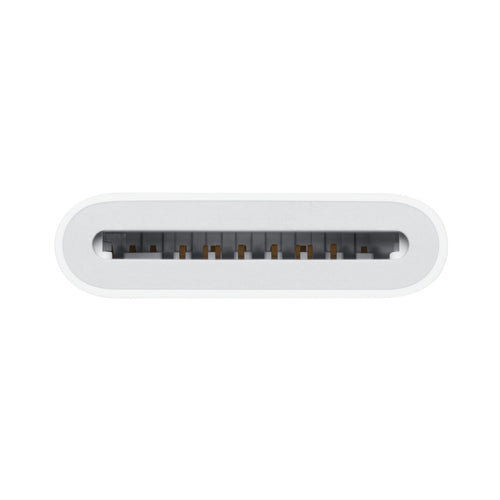 Apple USB C to SD Card Reader