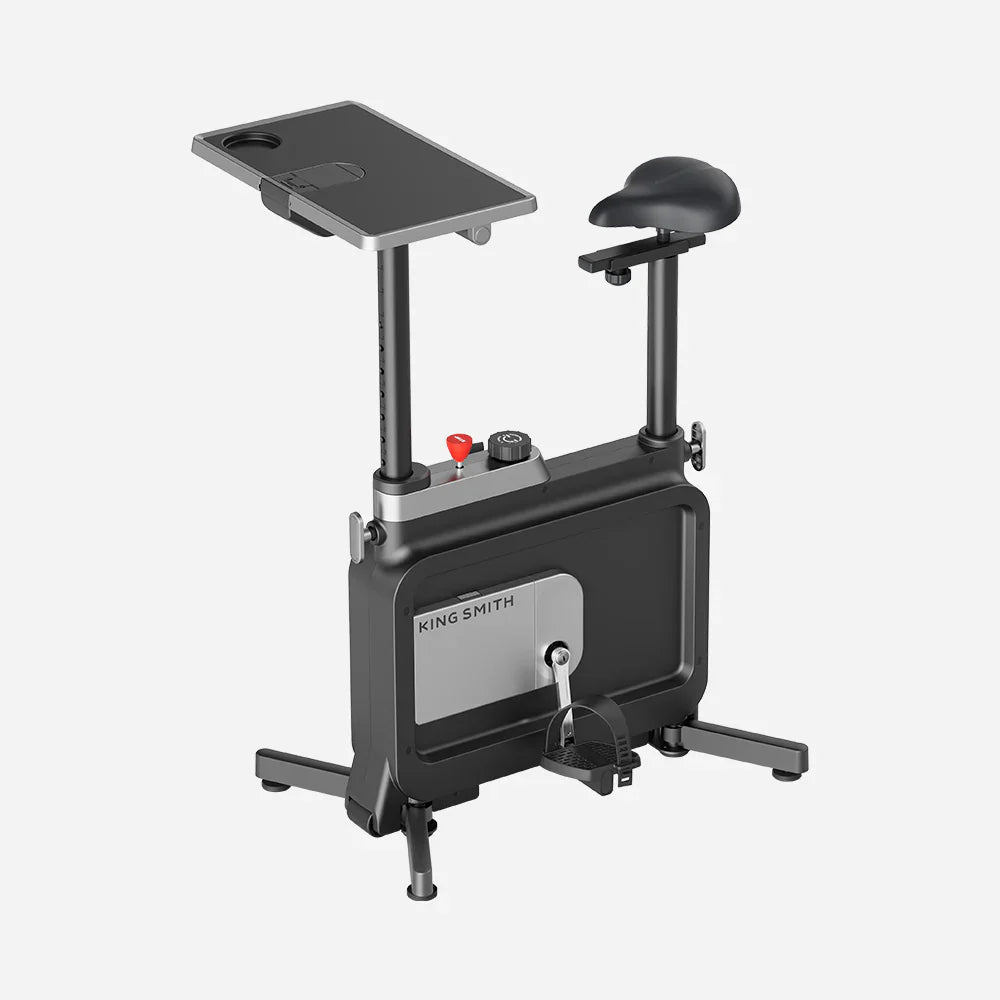 KingSmith W1B exercise bike seat