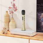 Hoco BK9 karaoke microphone in hand